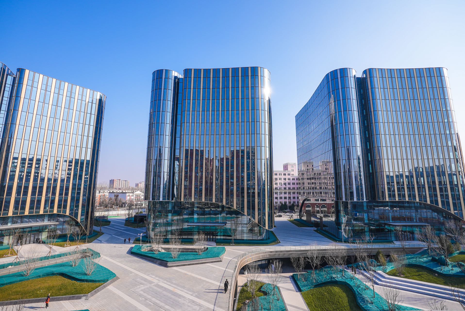 善鸽财税浅谈：企业可申领的人社补贴全攻略（2025最新版）